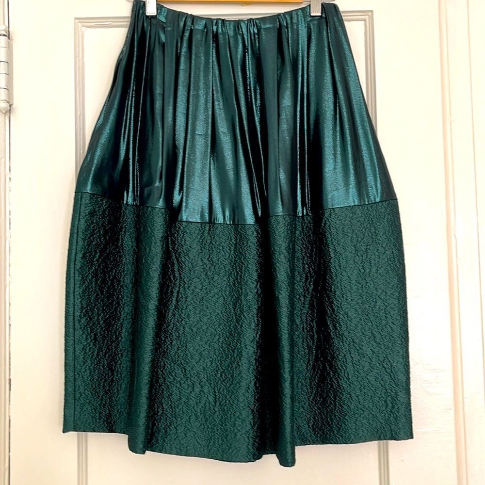 NWOT Tia cibani elegant skirt